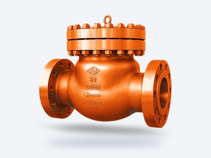 Swing check valve
